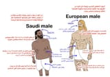 saudi-roasties