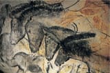 chauvet-cave-182