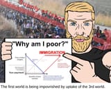 why_are_you_poor_supply_and_demand_chart_blames_immigration_cheap_nearfree_labor