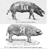 1742487887332072