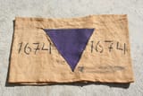 Purple_Triangle