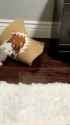 VID_20250722_150151_713_thumb.jpg