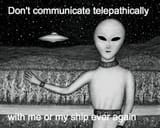 17532096915197588 (94)