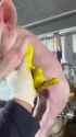 1737951196004264_thumb.jpg