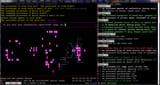 nethack ascension run fail