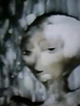 aas