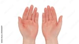 hands