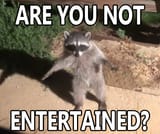 are-you-not
