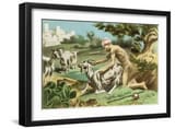 edouard-henri-avril-ancient-greek-sodomising-a-goat-plate-xvii-from-de-figuris-veneris-by-f-k-forberg-pub-1900_u-L-Q1HF4OBBUU3I
