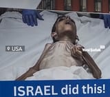 israel palestine kids