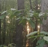 Appa Sunset 1