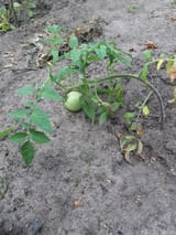 IMG_20220707_172010