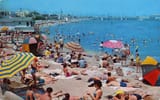 California 1950&#039;s white paradise