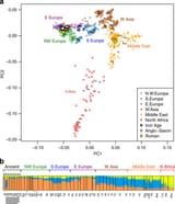 Principal-component-analysis-a-PCA-and-b-model-based-clustering-using-NGSadmix-K3