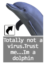 dolphin