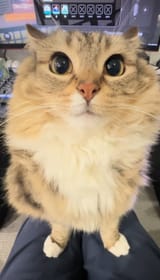 Screenshot_20250714_190912_TikTok