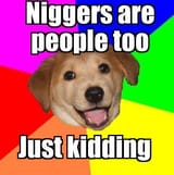 niggers are people too jk
