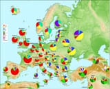 genetic-map-of-europe-v0-mx2uxGCUYKrTkP6qVWG3g4vdBgEPTLLhJcWHGmLeaaU