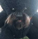 SasquatchTrailcam
