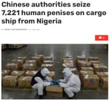 china trade human penises