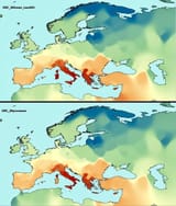 Eurogenetics