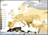Haplogroup-E1b1b