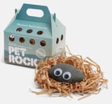 ASW23009-gray-tight-pet-rock