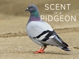 IMG_20250712_211015