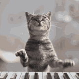 cat-piano