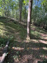 IMG_3390