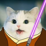 Nigger Cat Windu