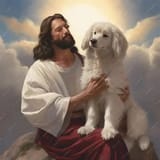 DoggoD