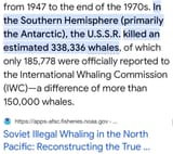 russian communist v whales @ploughmansfolly 1792012449970798944