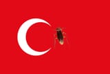Turkey real cancelled flag
