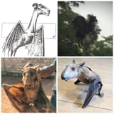 Jersey Devil