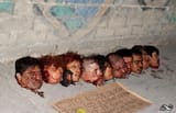 mex heads 111