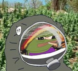1580368503139