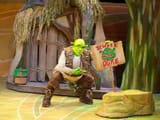 shrek checkem