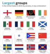 Largest groups in the United States