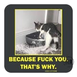 BecauseFuckYouCoaster