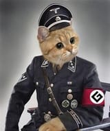 Grammar-Nazi-Cat-meme-5