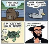jewish instinct