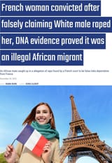 french woman lies about being raped by a black claimed it was a white european