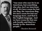 teddy roosevelt on being an American