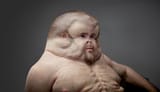1200px-Piccinini_Graham_Project_Zero