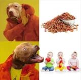 weWuzLapdogz