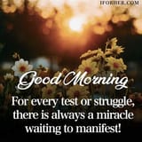 Morning