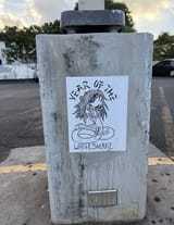 Year of the Whitesnake