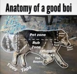 good boi