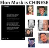 elon polp